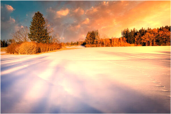 夢到了和現男友前男友睡一張床是什麼意思？_周公解夢官網