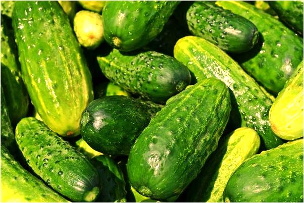 夢見牙掉了長新牙了意味著什麼_周公解夢官網