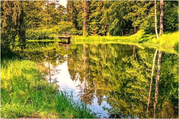 夢見同皇后交談有什麼意思嗎_周公解夢官網