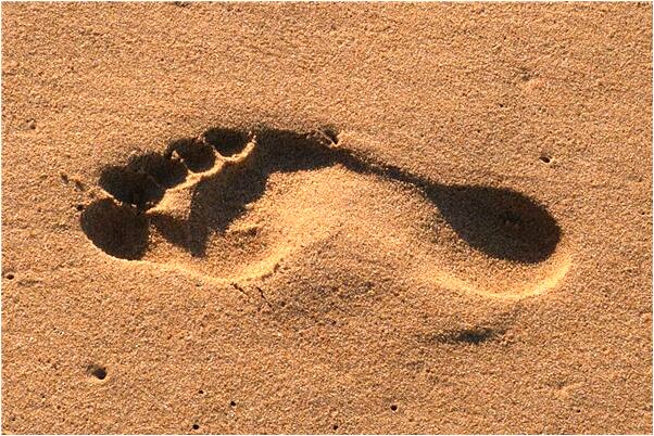 夢到父親當了我的老師有什麼說法_周公解夢官網