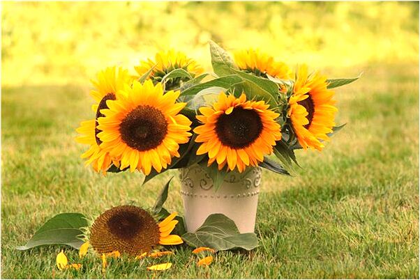 夢到用鞋子打自己兒子有什麼預示嗎_周公解夢官網