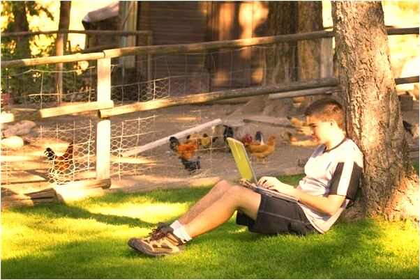 夢到宰野豬代表著什麼_周公解夢官網