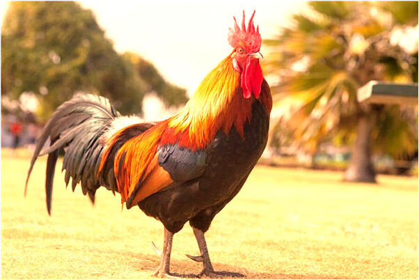 夢見死去的老公還活著代表著什麼_周公解夢官網