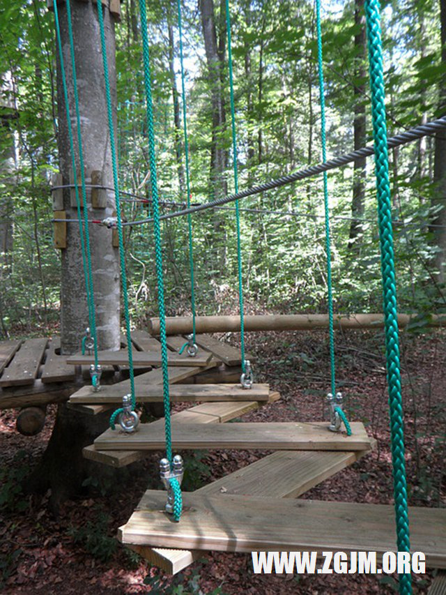 夢見豬下崽_周公解夢夢到豬下崽是什麼意思_做夢夢見豬下崽好不好_周公解夢官網