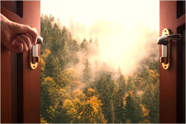 夢見發洪水並飄著木頭意味著什麼_周公解夢官網