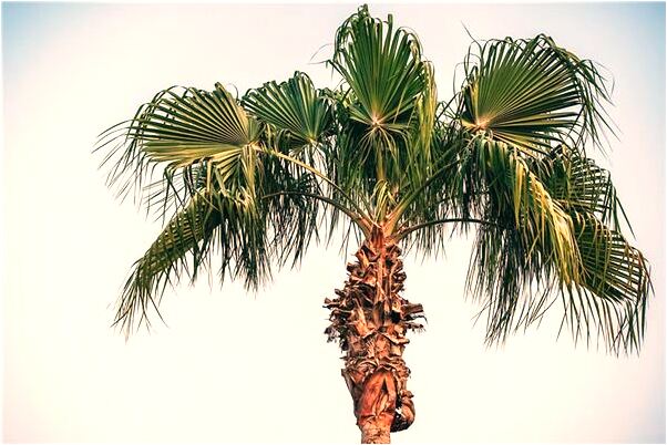 夢見被困牢里被救有什麼寓意嗎_周公解夢官網