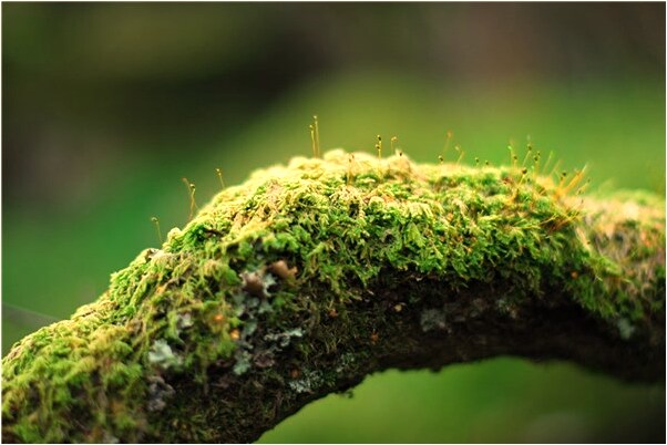 夢見愛人進監獄是什麼徵兆_周公解夢官網