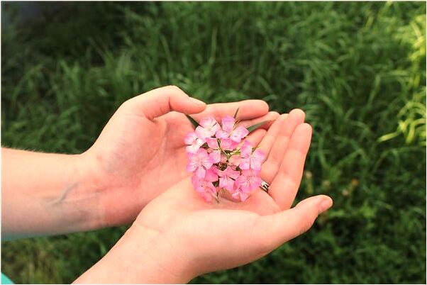 夢到小孩哭鞋丟是好的徵兆嗎_周公解夢官網