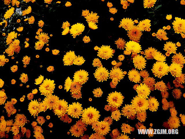 夢見生小男孩_周公解夢夢到生小男孩是什麼意思_做夢夢見生小男孩好不好_周公解夢官網