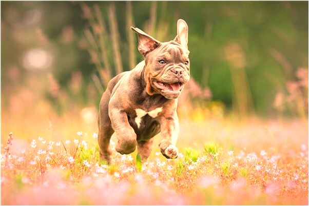 夢到自己跟現男友結婚是什麼兆頭_周公解夢官網