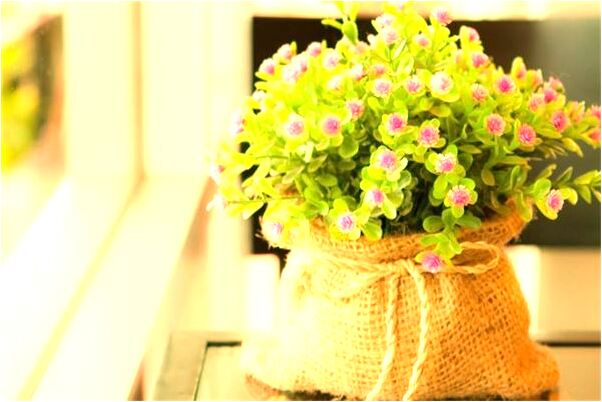 夢見兒子掉水裡淹死了預示什麼_周公解夢官網