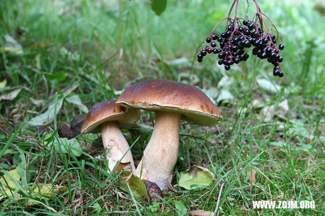 夢見牆塌了_周公解夢夢到牆塌了是什麼意思_做夢夢見牆塌了好不好_周公解夢官網