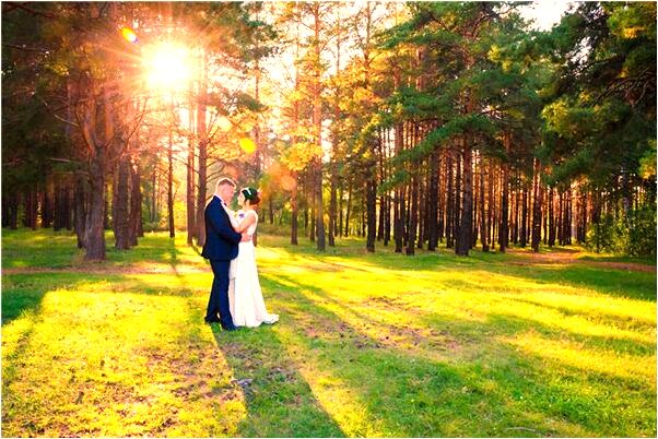 夢到了要殺狗代表什麼_周公解夢官網