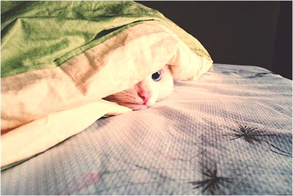 夢到了未婚男士和自己的孩子玩耍有什麼意思_周公解夢官網