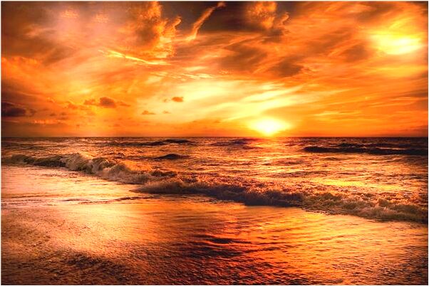 夢到了種核桃樹有什麼意義嗎_周公解夢官網