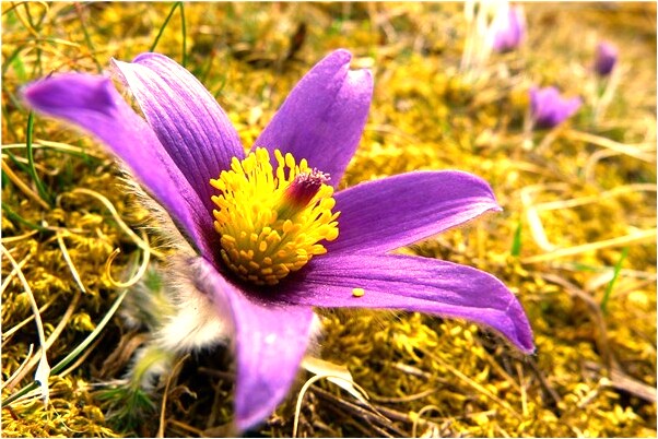 夢到了女兒丟啦是什麼徵兆_周公解夢官網