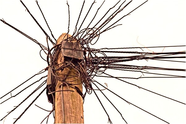 夢到鴿子湯是什麼兆頭_周公解夢官網