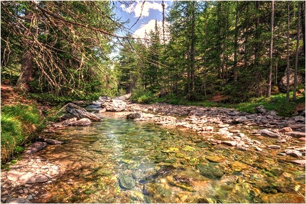 夢見釣到兩腳大魚會是什麼預兆_周公解夢官網