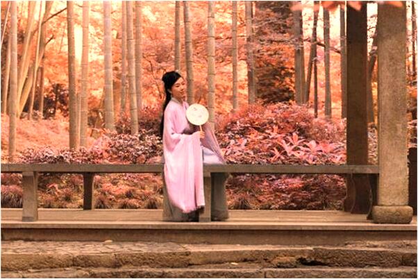 夢到了和女性朋友掛褲衩代表著什麼_周公解夢官網