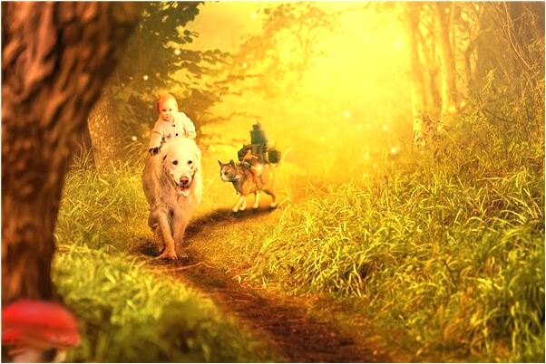 夢到了婆婆兒媳不孕意味著什麼_周公解夢官網