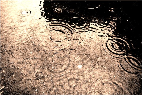 夢見朋友開張意味什麼_周公解夢官網