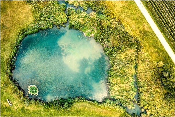 夢到了嬸嬸生孩子流了很多血好不好_周公解夢官網