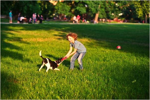 夢見朋友生的孩子不健康好不好_周公解夢官網