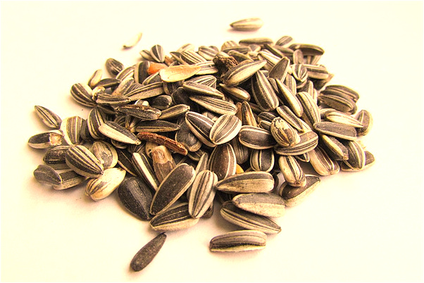 夢到在高山遇見熟人送我大包預示著什麼_周公解夢官網