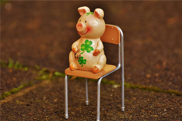 豬屬相的性格特質_十二生肖