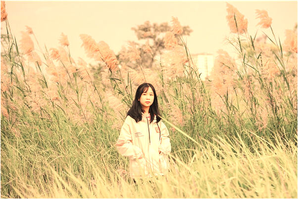 夢見金色的水面意味什麼_周公解夢官網