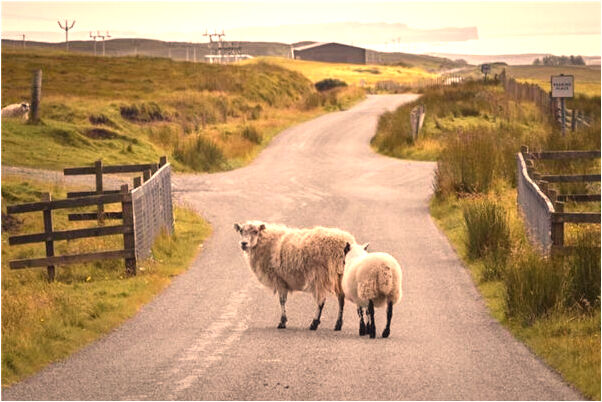 夢到美國菲利中學會有什麼預兆_周公解夢官網