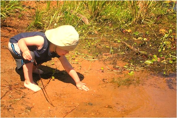 夢見被別人傷流血是不是好的徵兆呢_周公解夢官網