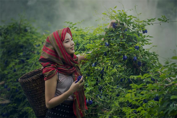 夢到了鄉親是啥預兆_周公解夢