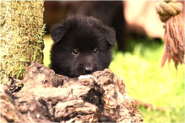 夢到了水井棺材會有什麼預兆_周公解夢官網