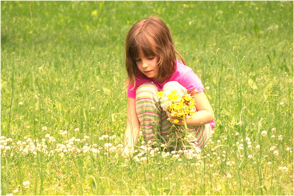 夢見別人要殺鴿子我買是吉兆嗎?_周公解夢官網