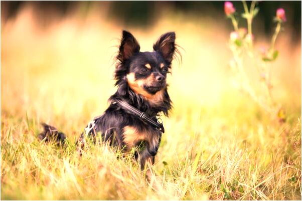 夢到了和男友及朋友到水壩邊玩預示了什麼_周公解夢官網