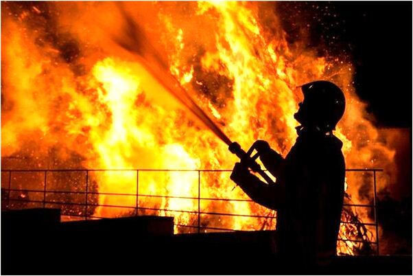 夢見遇到許多蛇躺在馬路上是啥預兆_周公解夢官網