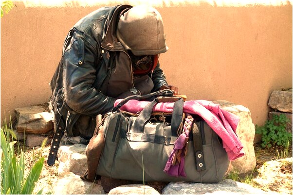 夢見鳥落身上預兆了什麼嗎_周公解夢官網