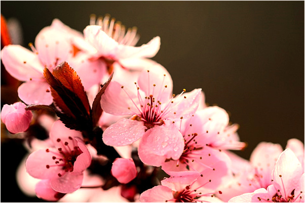 夢到和別人吵架後複合代表著什麼？_周公解夢官網