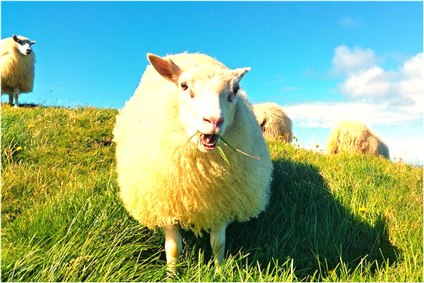 夢到了男人穿褲襪被人發現預示著什麼_周公解夢官網