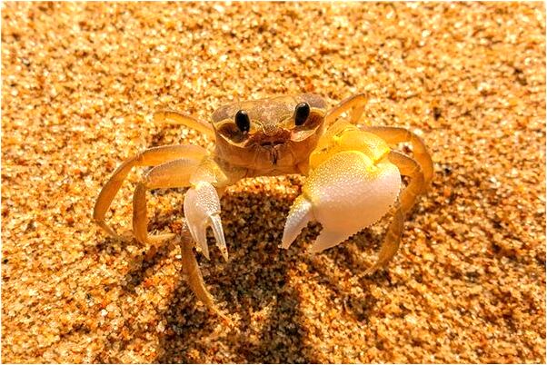 夢到了自己又和老公結婚預示什麼_周公解夢官網