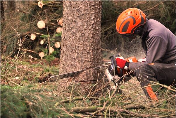 夢到自己的同學一直關注自己有什麼說法_周公解夢官網