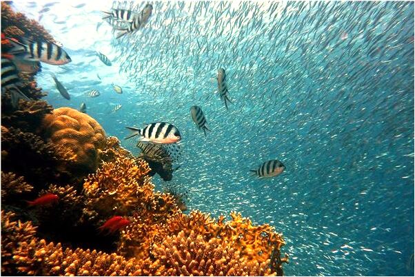 夢到了去過世的爺爺奶奶家會有什麼預兆_周公解夢官網