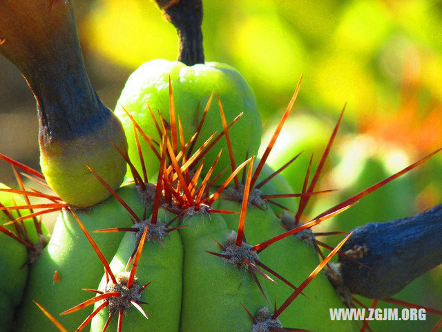 夢見同學去世_周公解夢夢到同學去世是什麼意思_做夢夢見同學去世好不好_周公解夢官網