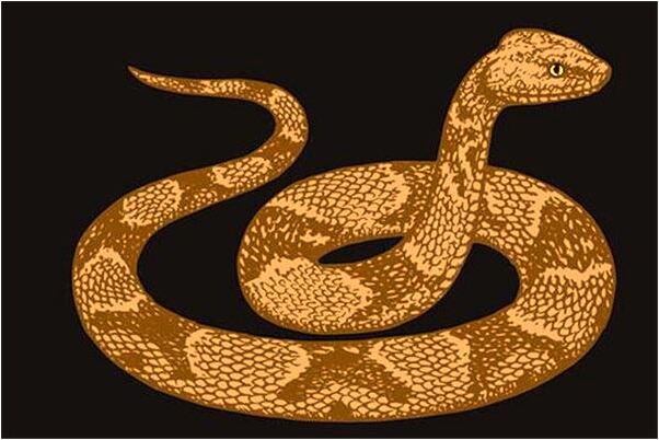 夢見已故父親穿自己的衣服代表什麼_周公解夢官網