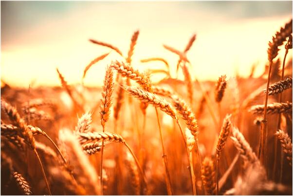 夢見應聘考試分數太高公司不要預示什麼_周公解夢官網