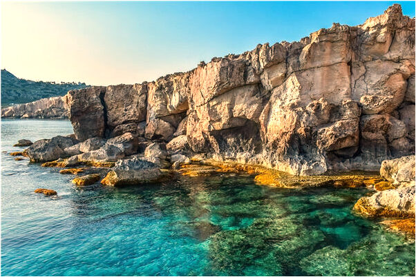 夢到了偷蔬菜有什麼預示嗎_周公解夢官網