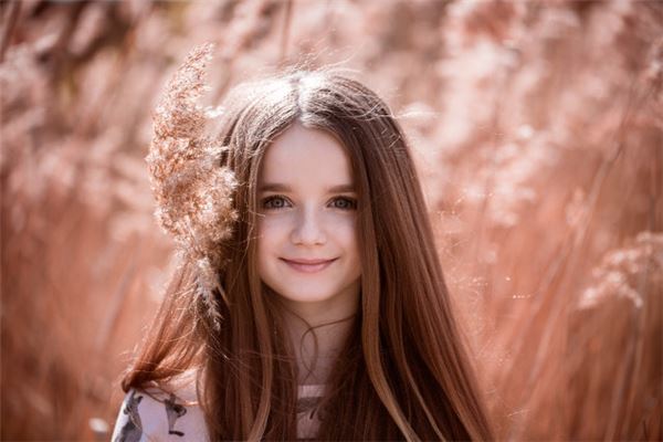 屬鼠冬季出生的性格_十二生肖