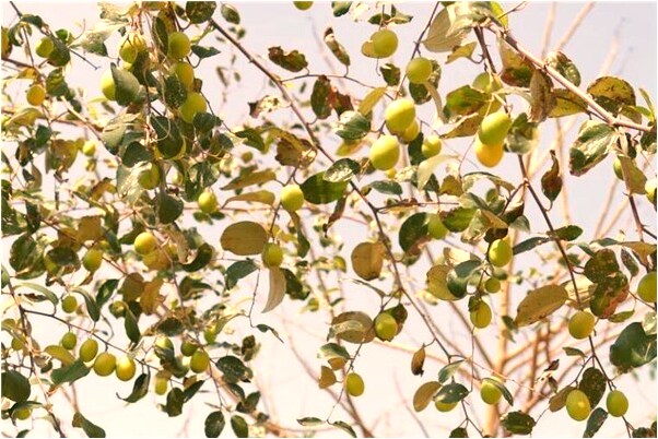 夢到女友不見是不是好的徵兆呢_周公解夢官網