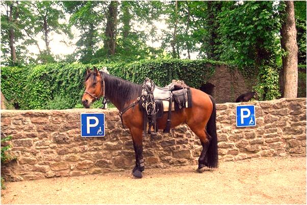 夢到了鍋爐爆炸房子倒塌是怎么回事_周公解夢官網